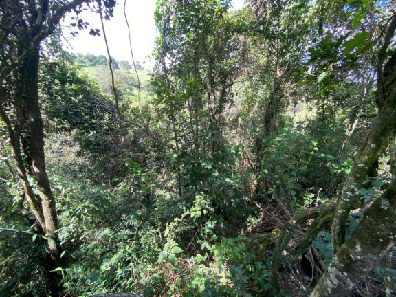 Imagem Terreno à Venda, 3 m² em Santa Terezinha De Minas - Itatiaiuçu Imagem Terreno à Venda, 3 m² em Santa Terezinha De Minas - Itatiaiuçu