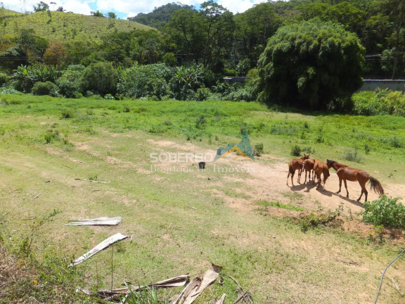 Imagem Imóvel com 4 Quartos à Venda, 1.016.400 m² em Providência - Teresópolis Imagem Imóvel com 4 Quartos à Venda, 1.016.400 m² em Providência - Teresópolis