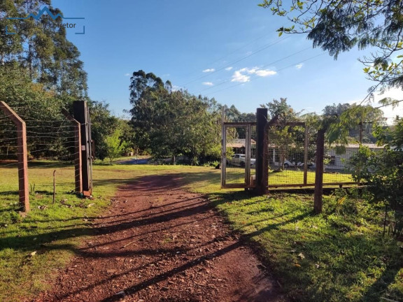 Imóvel com 3 Quartos à Venda, 29.000 m² em Tres Lagoas