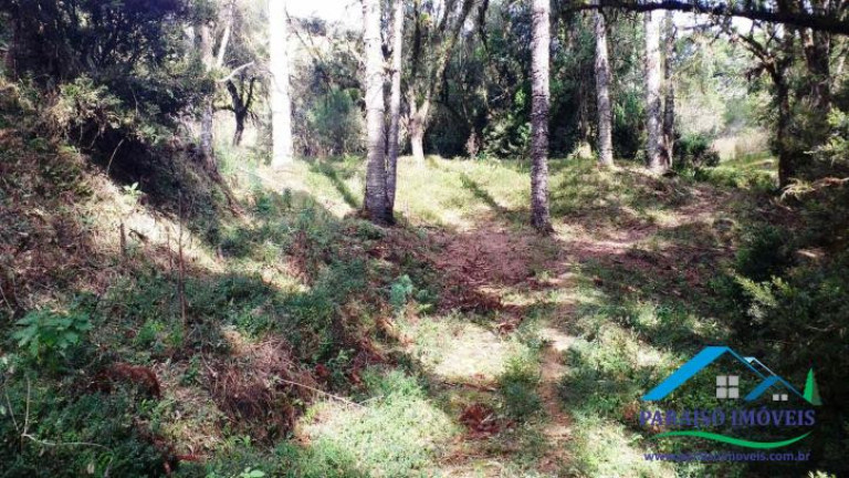 Imagem Chácara à Venda, 89 m² em Centro - Gonçalves