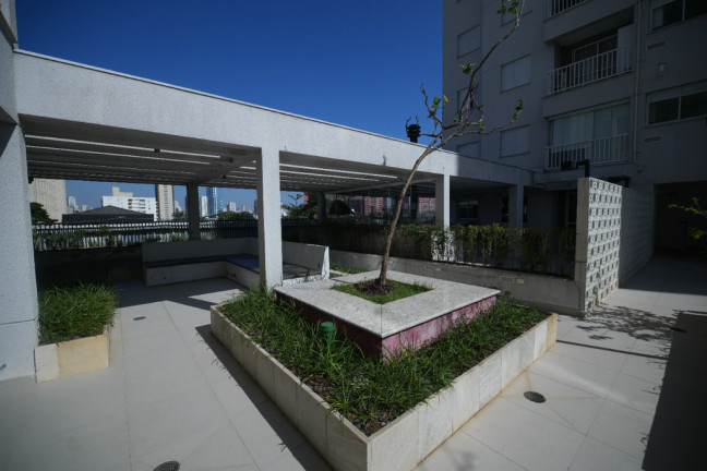 Imagem Apartamento com 2 Quartos à Venda, 53 m² em Jardim Das Laranjeiras - São Paulo Imagem Apartamento com 2 Quartos à Venda, 53 m² em Jardim Das Laranjeiras - São Paulo