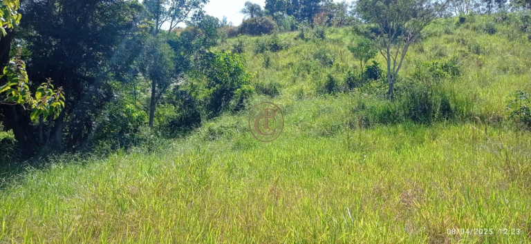 Imagem Chácara à Venda, 63.000 m² em Centro - Santa Branca Imagem Chácara à Venda, 63.000 m² em Centro - Santa Branca
