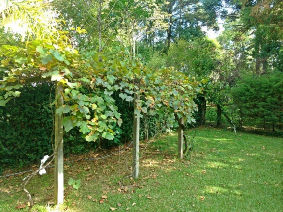 Imagem Casa com 3 Quartos à Venda, 500 m² em Vale Verde - Nova Petrópolis