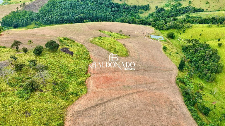 Imagem Terreno à Venda, 493.300 m² em Centro - Toledo Imagem Terreno à Venda, 493.300 m² em Centro - Toledo