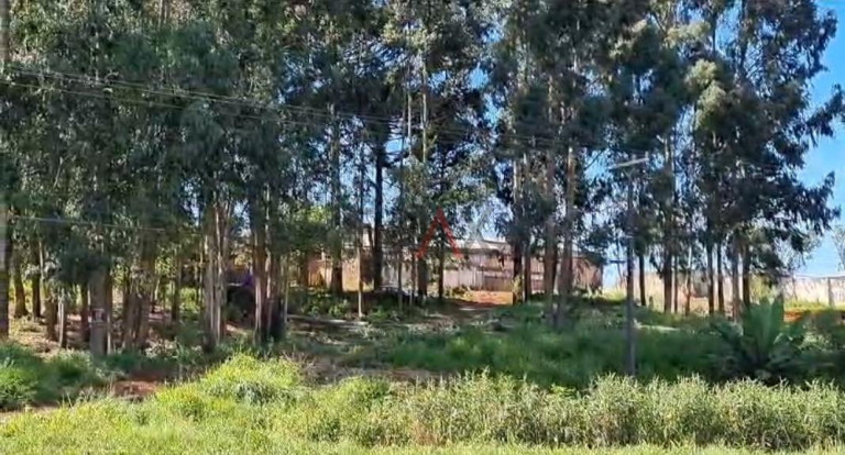 Imagem Terreno à Venda, em Boqueirão - Guarapuava Imagem Terreno à Venda, em Boqueirão - Guarapuava