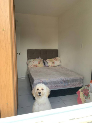 Imagem Apartamento com 2 Quartos à Venda, 50 m² em Rosa Elze - São Cristóvão Imagem Apartamento com 2 Quartos à Venda, 50 m² em Rosa Elze - São Cristóvão