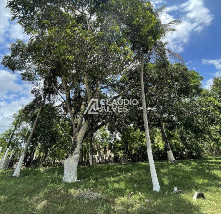 Imagem Chácara com 2 Quartos à Venda, 4.300 m² em Br 101 - Conceição Do Jacuípe Imagem Chácara com 2 Quartos à Venda, 4.300 m² em Br 101 - Conceição Do Jacuípe