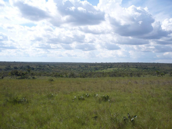 Imagem Fazenda à Venda, 777 m² em Rural - Lizarda Imagem Fazenda à Venda, 777 m² em Rural - Lizarda