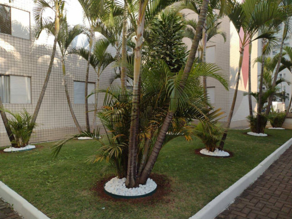 Imagem Apartamento com 2 Quartos à Venda, 50 m² em Santo Amaro - São Paulo Imagem Apartamento com 2 Quartos à Venda, 50 m² em Santo Amaro - São Paulo
