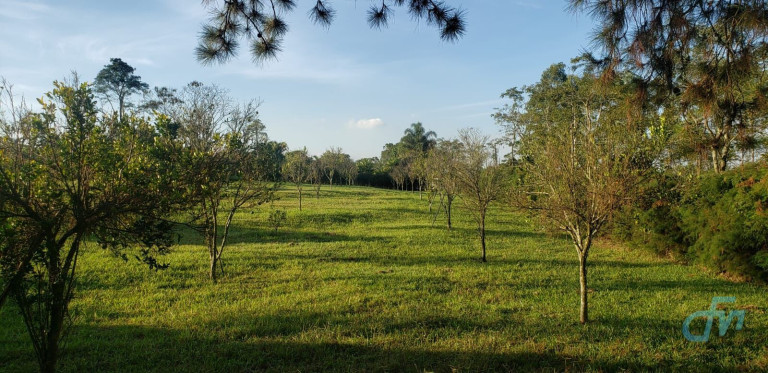 Imagem Imóvel com 4 Quartos à Venda, 36.000 m² em Itapeti - Mogi Das Cruzes Imagem Imóvel com 4 Quartos à Venda, 36.000 m² em Itapeti - Mogi Das Cruzes