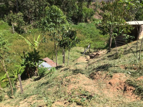 Imagem Fazenda à Venda, 120 m² em Campos De Cunha  - Cunha