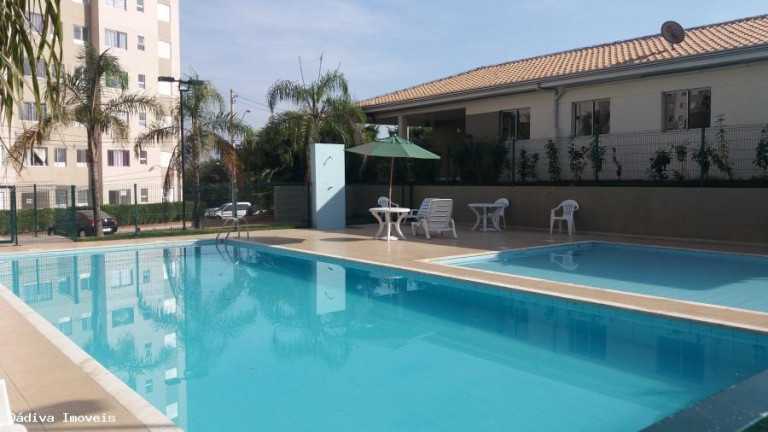 Imagem Imóvel com 2 Quartos à Venda, 45 m² em Parque Yolanda (nova Veneza) - Sumaré Imagem Imóvel com 2 Quartos à Venda, 45 m² em Parque Yolanda (nova Veneza) - Sumaré