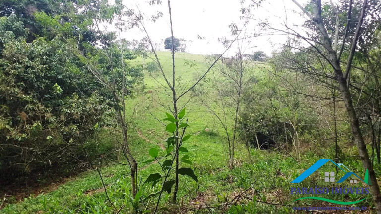 Imagem Chácara à Venda, 7 m² em Centro - Paraisópolis