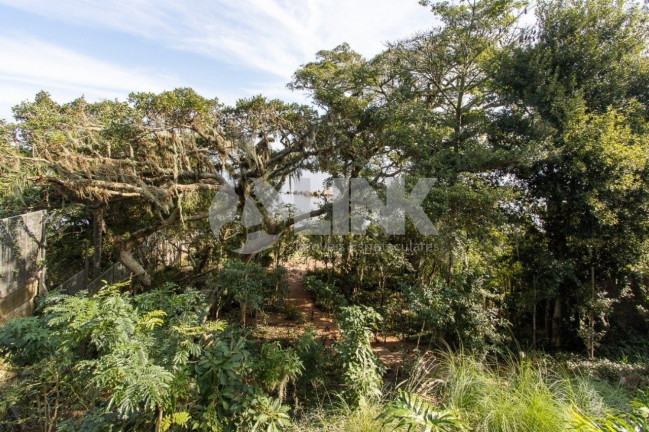 Imagem Imóvel com 3 Quartos à Venda, 427 m² em Vila Conceição - Porto Alegre