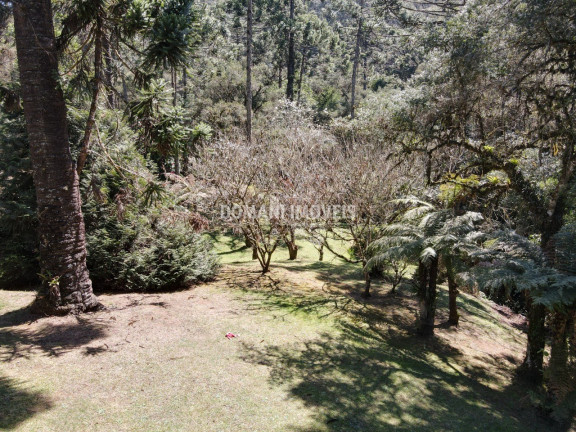 Imagem Casa com 4 Quartos à Venda, 340 m² em Região De Descansópolis - Campos Do Jordão Imagem Casa com 4 Quartos à Venda, 340 m² em Região De Descansópolis - Campos Do Jordão