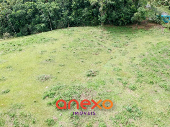 Imagem Terreno à Venda, 4.183 m² em Progresso - Blumenau