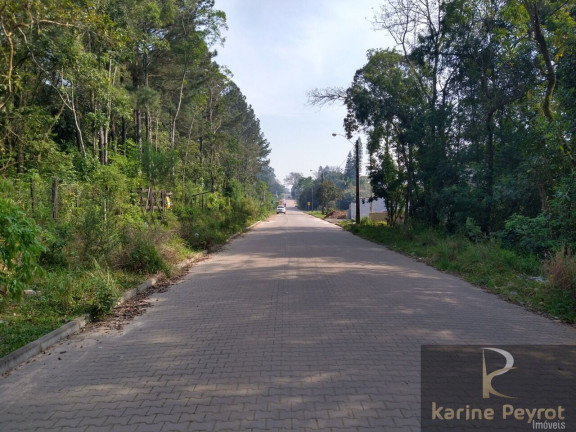 Imagem Terreno à Venda, 300 m² em Campestre - São Leopoldo