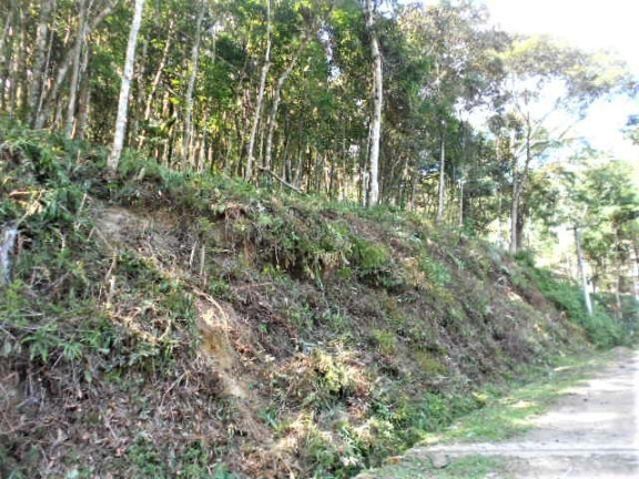 Imagem Terreno à Venda, 4.685 m² em Vargem Grande - Teresópolis Imagem Terreno à Venda, 4.685 m² em Vargem Grande - Teresópolis