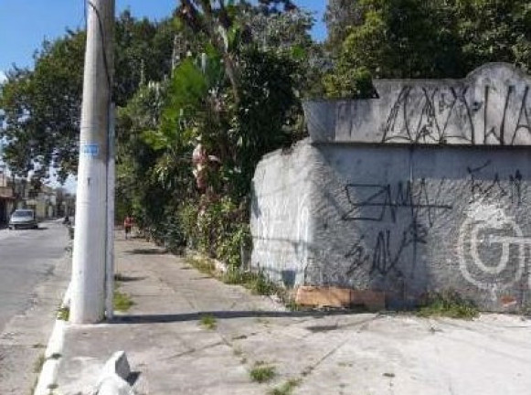 Imagem Imóvel com 3 Quartos à Venda, em Jardim Modelo - São Paulo - São Paulo Imagem Imóvel com 3 Quartos à Venda, em Jardim Modelo - São Paulo - São Paulo