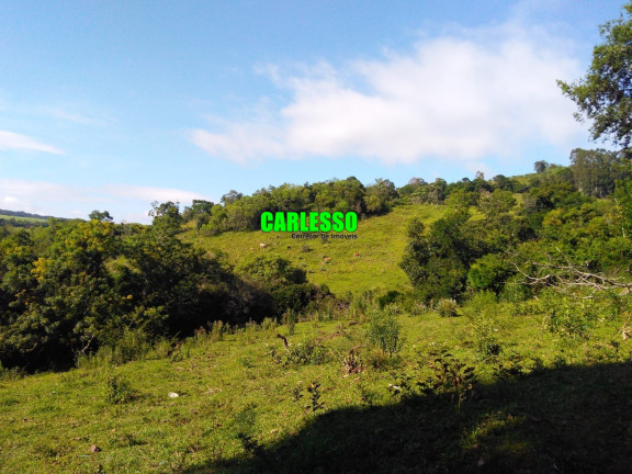 Imagem Terreno à Venda, 364 m² em Camobi - Santa Maria Imagem Terreno à Venda, 364 m² em Camobi - Santa Maria