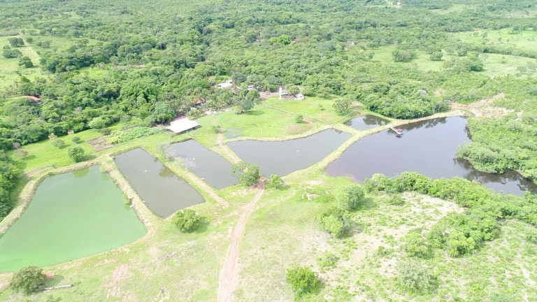 Imagem Chácara com 3 Quartos à Venda, 34 m² em Nossa Senhora Da Guia - Cuiabá Imagem Chácara com 3 Quartos à Venda, 34 m² em Nossa Senhora Da Guia - Cuiabá