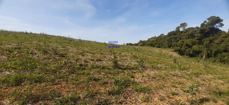 Imagem Imóvel com 1 Quarto à Venda, 20.000 m² em Rural - Mariental Imagem Imóvel com 1 Quarto à Venda, 20.000 m² em Rural - Mariental