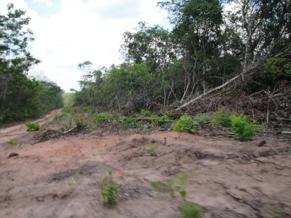 Imagem Fazenda à Venda, 500 m² em Zona Rural - Paranatinga Imagem Fazenda à Venda, 500 m² em Zona Rural - Paranatinga