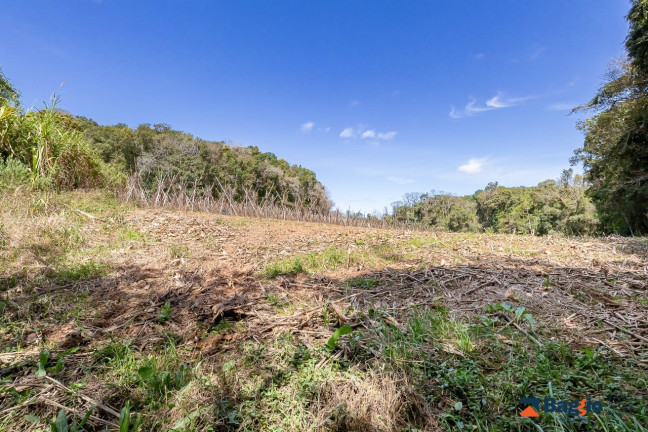 Imagem Imóvel com 1 Quarto à Venda, 56.643 m² em Ferraria - Campo Largo Imagem Imóvel com 1 Quarto à Venda, 56.643 m² em Ferraria - Campo Largo