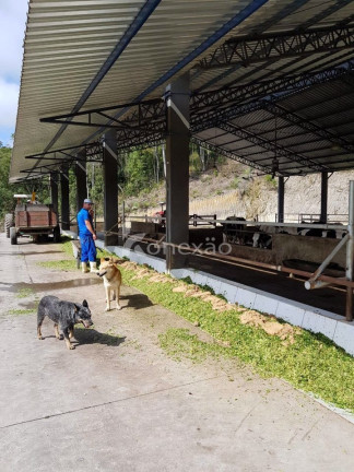Imagem Fazenda à Venda, 90 m² em Centro - São Luíz Do Paraitinga Imagem Fazenda à Venda, 90 m² em Centro - São Luíz Do Paraitinga