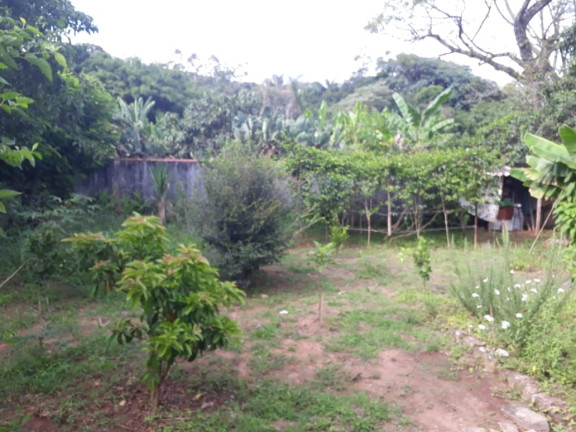 Imagem Chácara com 2 Quartos à Venda, 960 m² em Terra Preta - Mairiporã Imagem Chácara com 2 Quartos à Venda, 960 m² em Terra Preta - Mairiporã