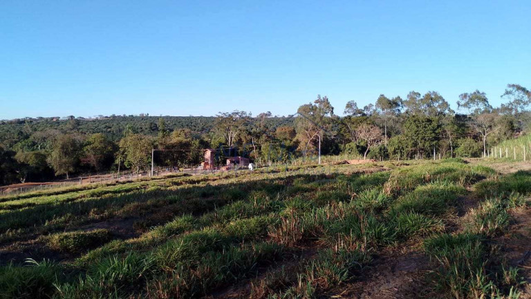 Imagem Fazenda à Venda, 6.690 m² em Vertentes Do Mamonal - Pirassununga Imagem Fazenda à Venda, 6.690 m² em Vertentes Do Mamonal - Pirassununga