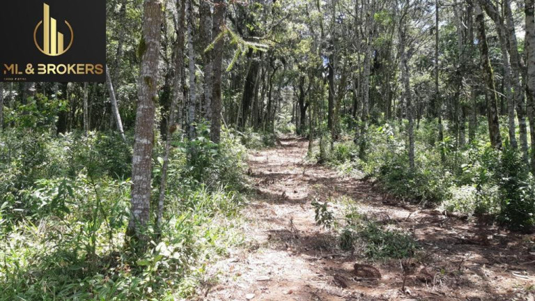 Imagem Imóvel à Venda, 20.000 m² em Quitandinha - Quitandinha Imagem Imóvel à Venda, 20.000 m² em Quitandinha - Quitandinha