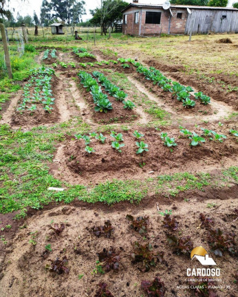 Imagem Imóvel com 3 Quartos à Venda, 3 m² em águas Claras - Viamão