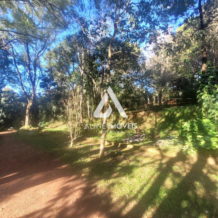Imagem Fazenda à Venda,  em Educacional - Cruz Alta