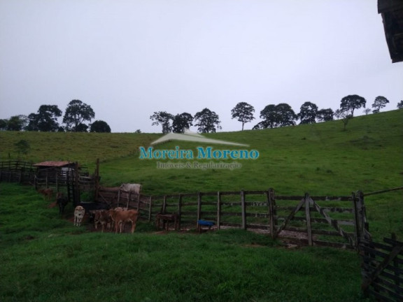 Imagem Imóvel com 1 Quarto à Venda, 11 m² em Zona Rural - Borda Da Mata Imagem Imóvel com 1 Quarto à Venda, 11 m² em Zona Rural - Borda Da Mata