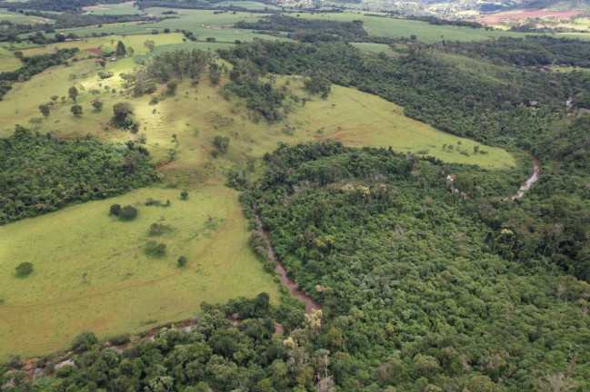 Imagem Chácara à Venda, 17 m² em Zona Rural - Cajuru Imagem Chácara à Venda, 17 m² em Zona Rural - Cajuru