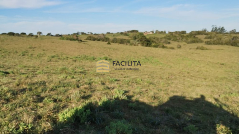 Imagem Imóvel com 3 Quartos à Venda, 760.000 m² em 3ºdistrito Boa Vista - Canguçu Imagem Imóvel com 3 Quartos à Venda, 760.000 m² em 3ºdistrito Boa Vista - Canguçu
