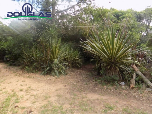 Imagem Imóvel Comercial à Venda,  em Viamão