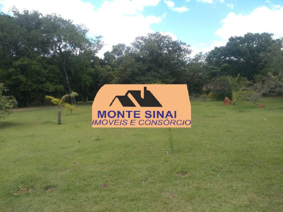 Imagem Chácara com 2 Quartos à Venda, 5.000 m² em Centro - Capela Do Alto