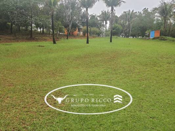 Imagem Chácara com 3 Quartos à Venda, 5 m² em Zona Rural - Bela Vista De Goiás Imagem Chácara com 3 Quartos à Venda, 5 m² em Zona Rural - Bela Vista De Goiás