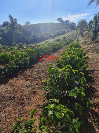 Imagem Chácara à Venda, 84.000 m² em Altos De Sumaré - Juruaia Imagem Chácara à Venda, 84.000 m² em Altos De Sumaré - Juruaia