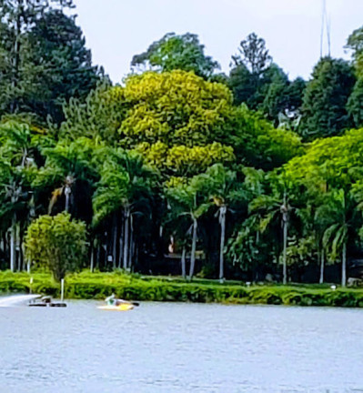 Imagem Casa de Condomínio com 4 Quartos à Venda, 718 m² em Vivendas Do Lago - Sorocaba Imagem Casa de Condomínio com 4 Quartos à Venda, 718 m² em Vivendas Do Lago - Sorocaba