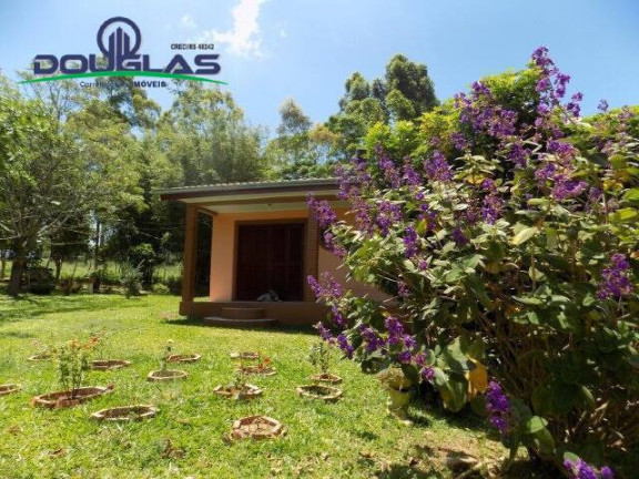 Imagem Chácara com 2 Quartos à Venda, 5.000 m² em Viamão
