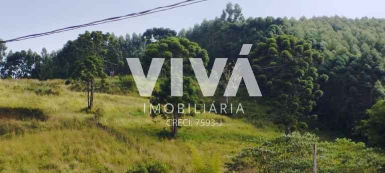 Imagem Terreno à Venda, 12.000 m² em Pinhal Grande - Extrema