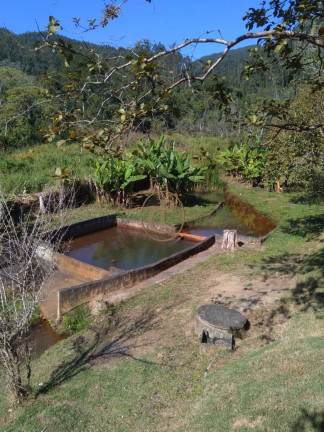 Imagem Chácara com 2 Quartos à Venda, 100 m² em Pedra Branca - Monteiro Lobato