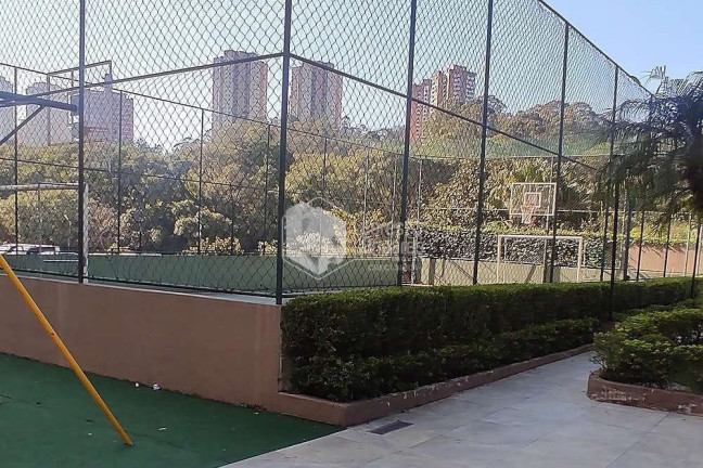 Imagem Apartamento com 3 Quartos à Venda, 61 m² em Morumbi - São Paulo Imagem Apartamento com 3 Quartos à Venda, 61 m² em Morumbi - São Paulo