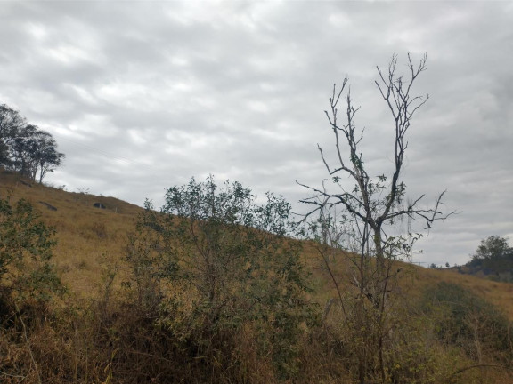 Imagem Chácara à Venda, 20.000 m² em Rio Pardo - Caldas Imagem Chácara à Venda, 20.000 m² em Rio Pardo - Caldas