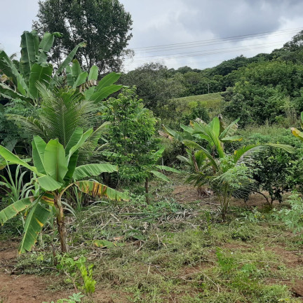 Imagem Imóvel com 1 Quarto à Venda, 2.000 m² em Diogo - Mata De São João Imagem Imóvel com 1 Quarto à Venda, 2.000 m² em Diogo - Mata De São João