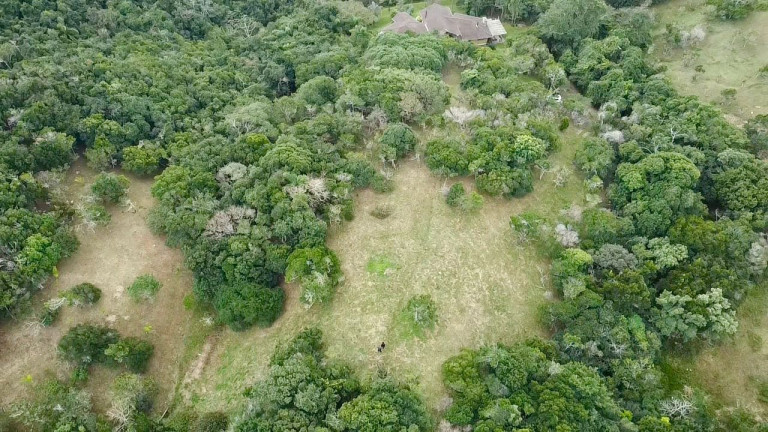 Imagem Terreno à Venda, 4.908 m² em Praia Da Silveira - Garopaba Imagem Terreno à Venda, 4.908 m² em Praia Da Silveira - Garopaba