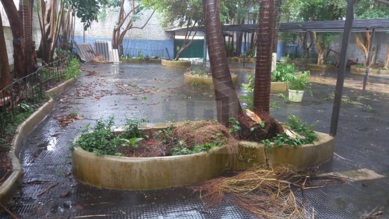 Imagem Terreno à Venda, 1 m² em Vila Parque Jabaquara - São Paulo